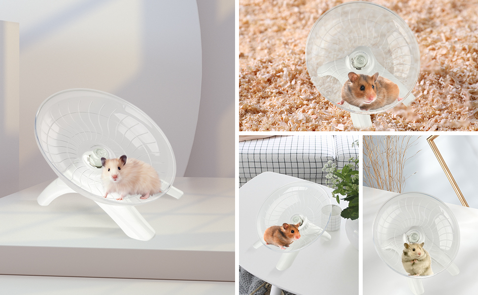 Hamster Laufrad - Vorderansicht