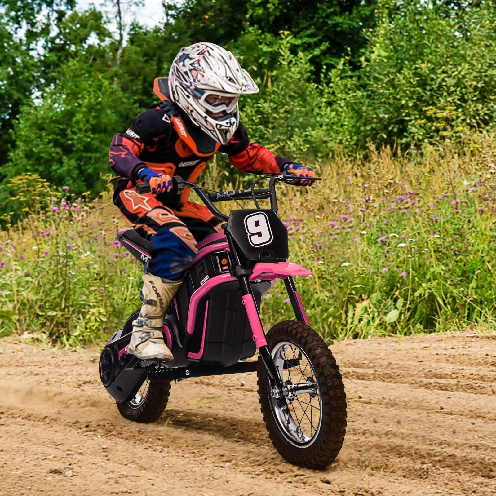 Electric Dirt Bike Image 5