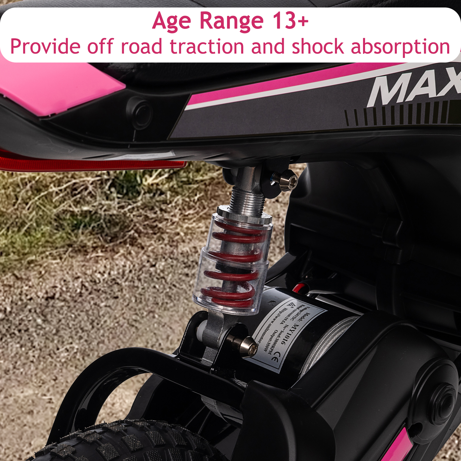 Electric Dirt Bike Image 4