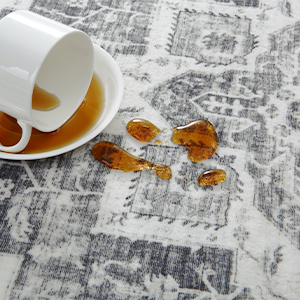 PHO_0YI4HH66
