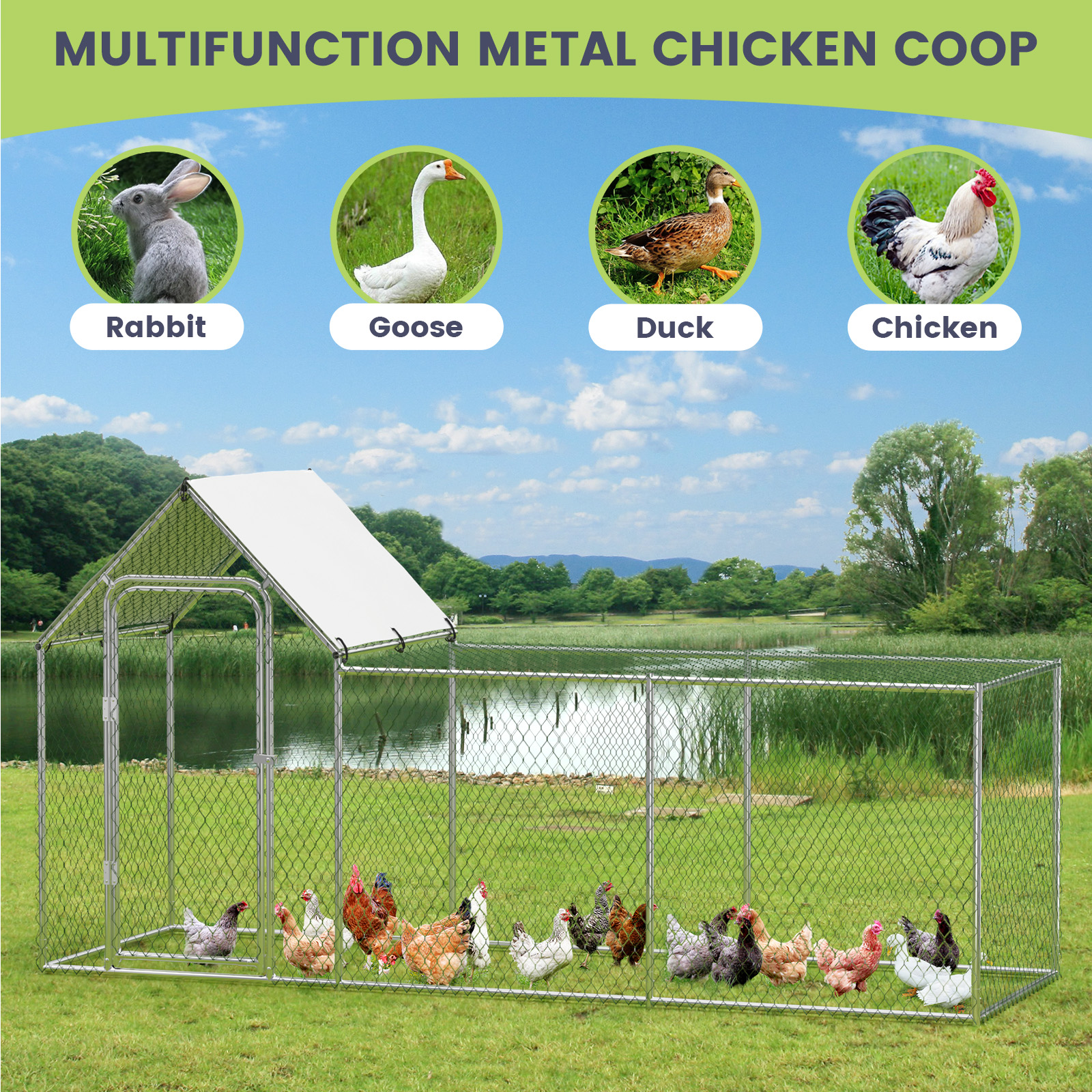 Uso Multifuncional para Aves y Conejos