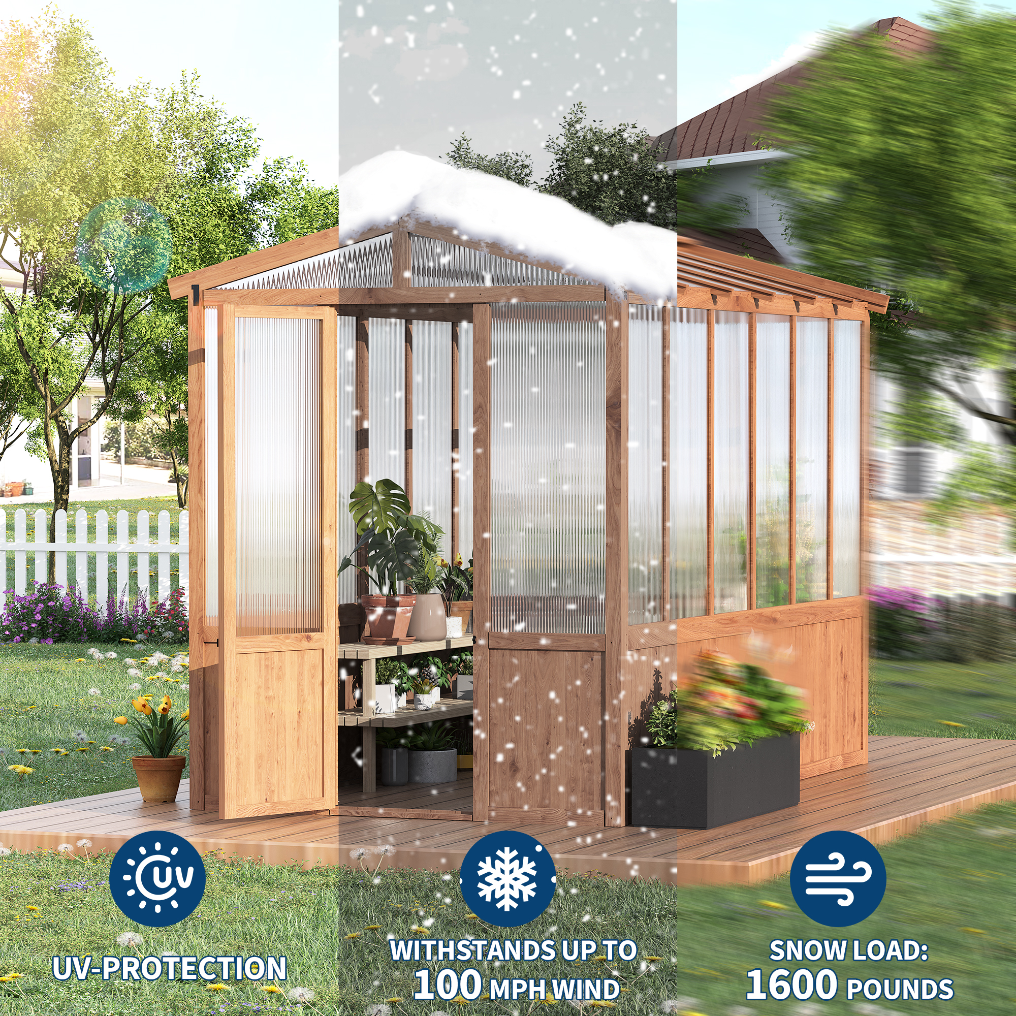 Spacious greenhouse interior for plants and shelving