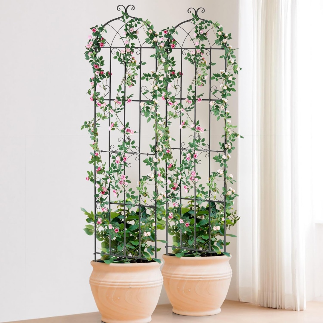 Decorative metal trellis for garden flower beds