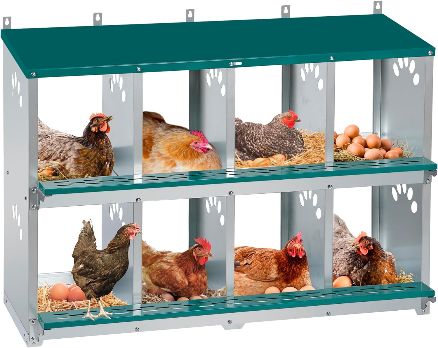 Metal Chicken Nesting Box for Laying Eggs Rustproof Wall-mountable Laying Boxes