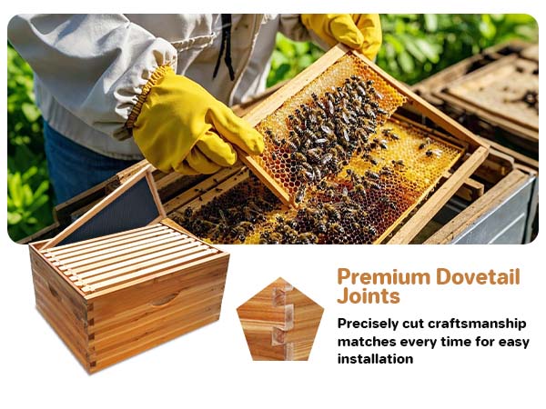 Producción de miel optimizada