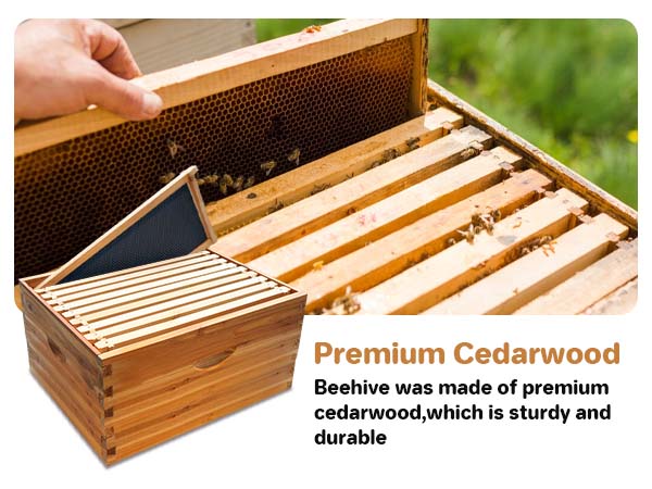 Madera de cedro premium