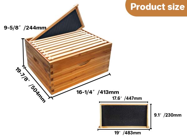 Colmena Langstroth 10 cuadros