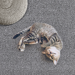 Easy to clean washable gray runner rug