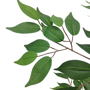 GARVEEDE Künstlicher Ficusbaum - Detail 5