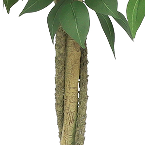 GARVEEDE Künstlicher Ficusbaum - Detail 6