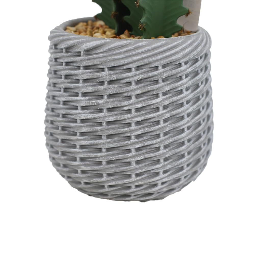 Cero mantenimiento y siempre bonito