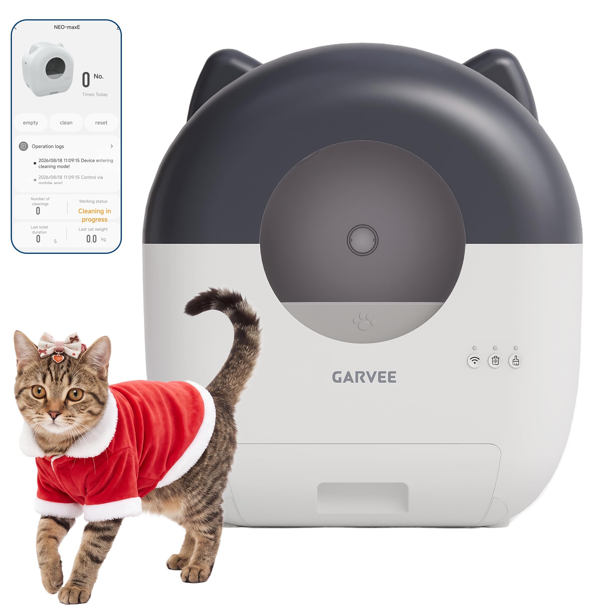 Lettiera Autopulente per Gatti