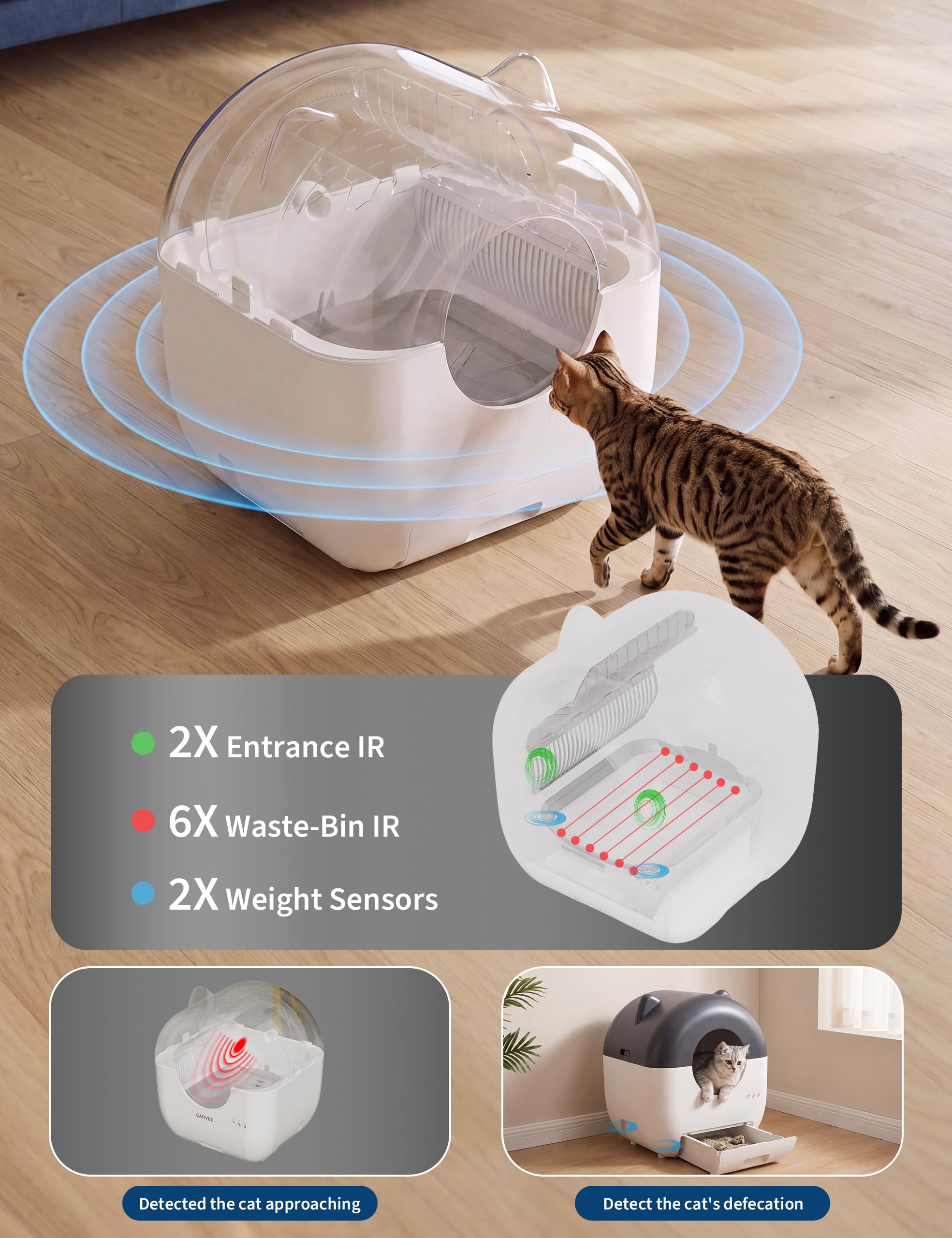 Praticità di utilizzo e lettiera autopulente per gatti