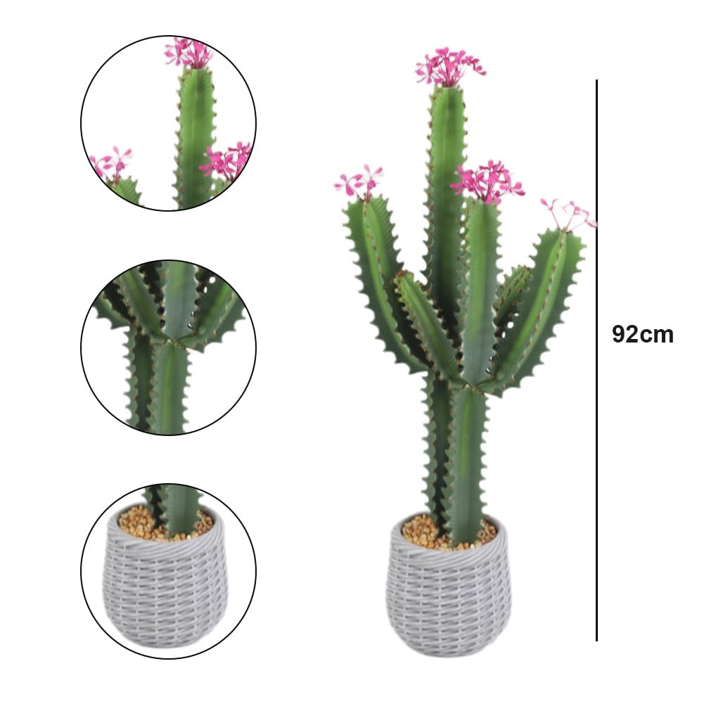 Decoración premium para el día a día