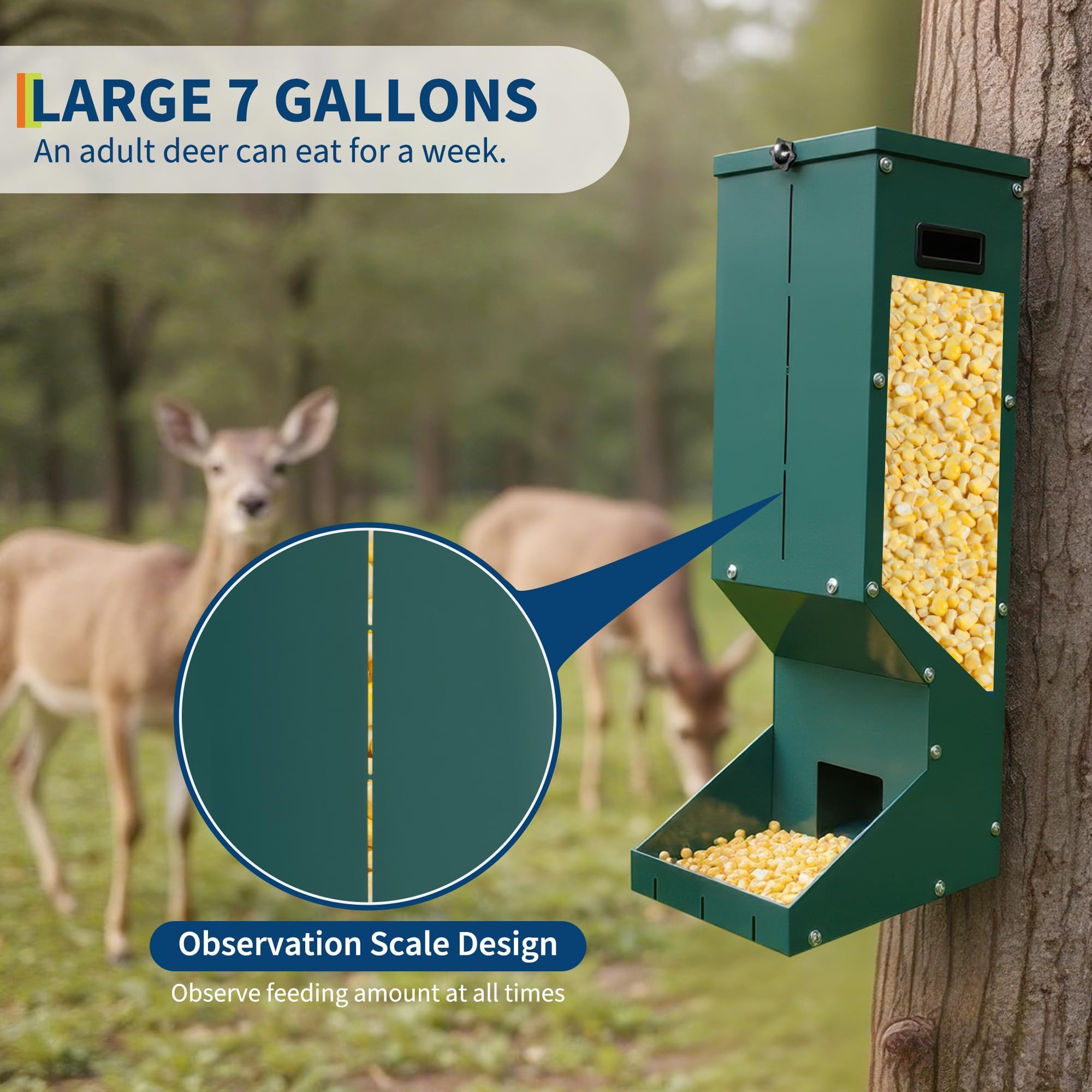 12x11x30 Inch Dimensions and Tree Mounting Demonstration