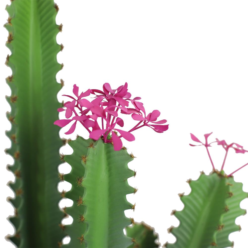 Cactus artificial realista con maceta