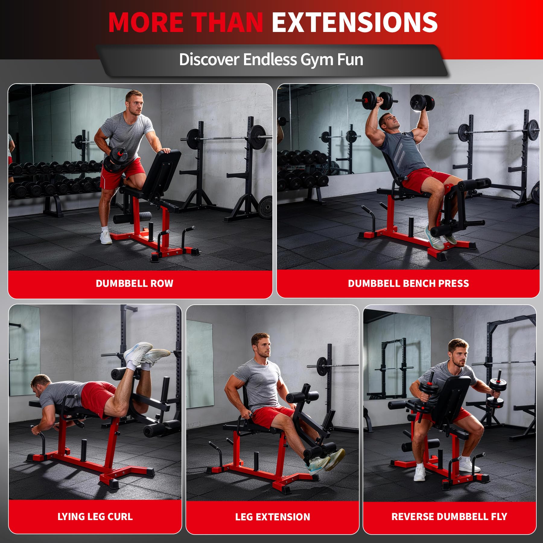 Multifunctional Weight Bench with Leg Developer