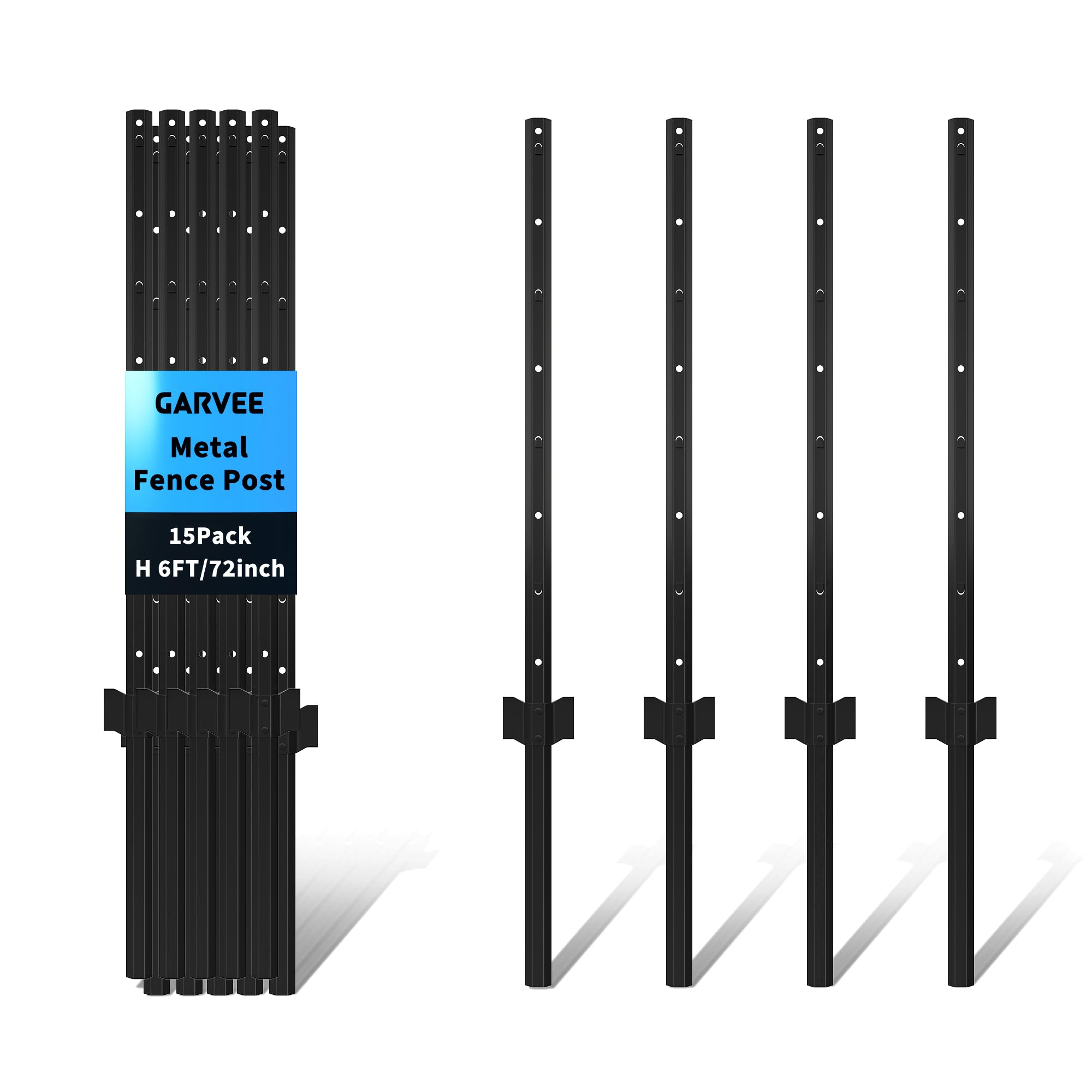 PPG_364RVFD9