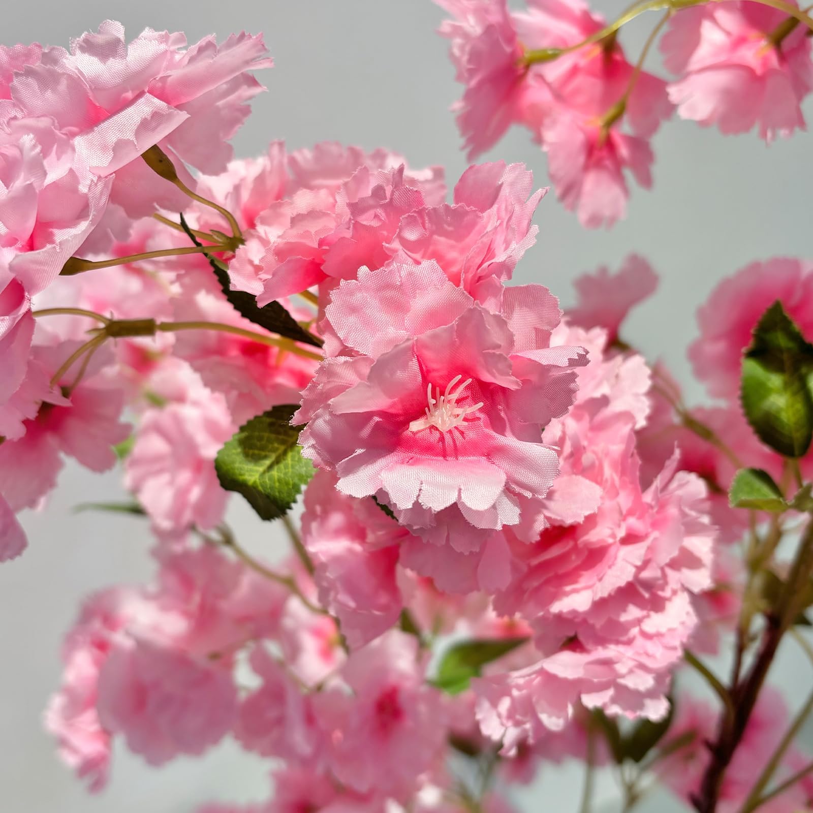 Detalles de flores y tronco texturizado