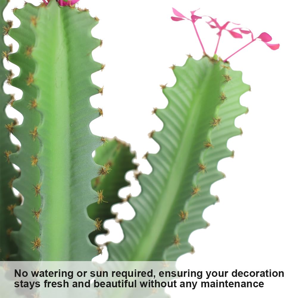 Planta de interior perfecta