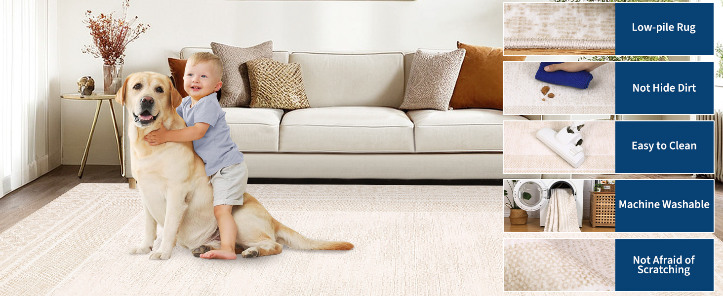 Washable low-pile area rug that is kid and pet friendly and easy to clean